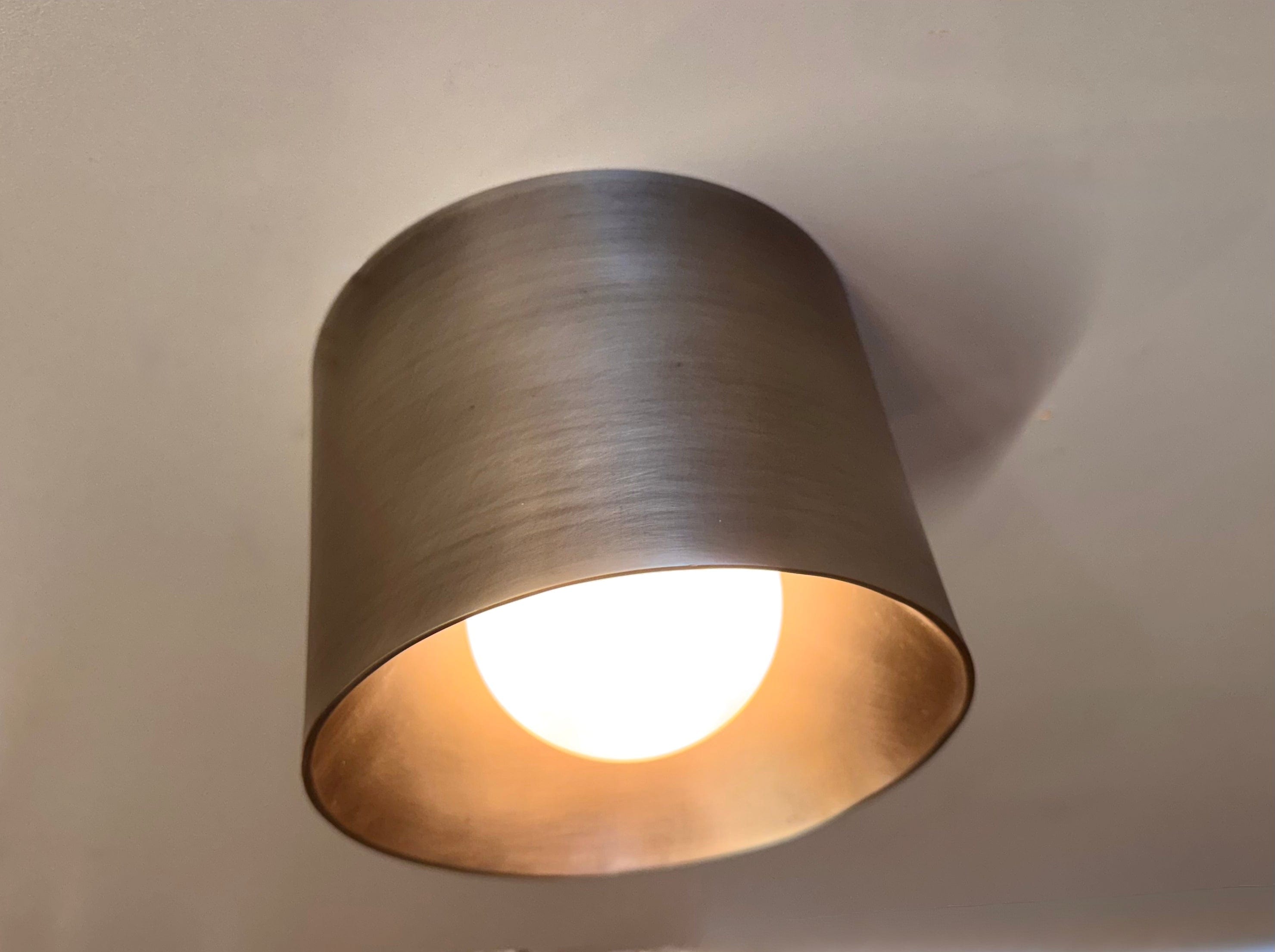 Arel Lighting MARTA Ceiling Fixture