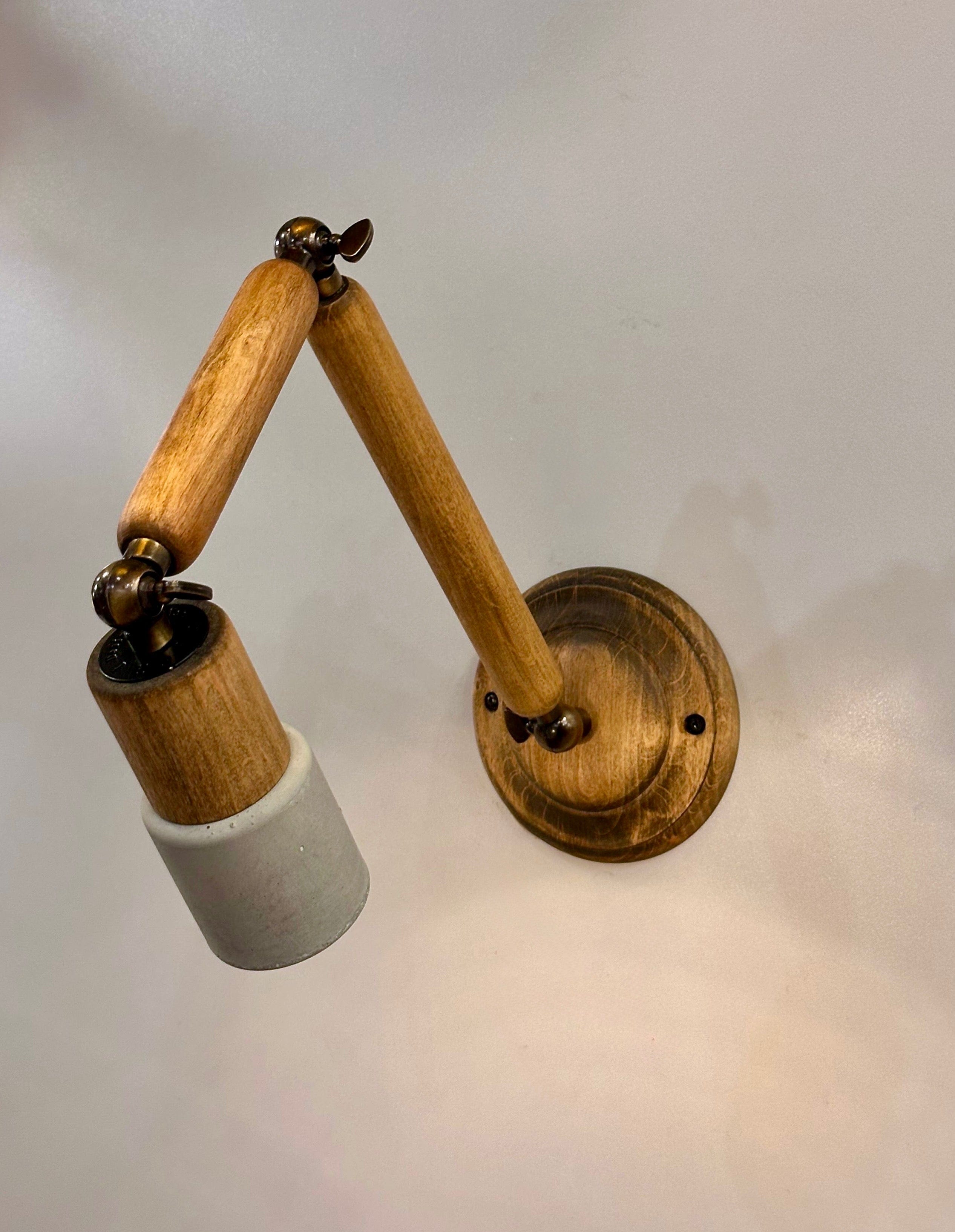 Arel Lighting NOGARO LUNGO ARTICULATING WALL SCONCE