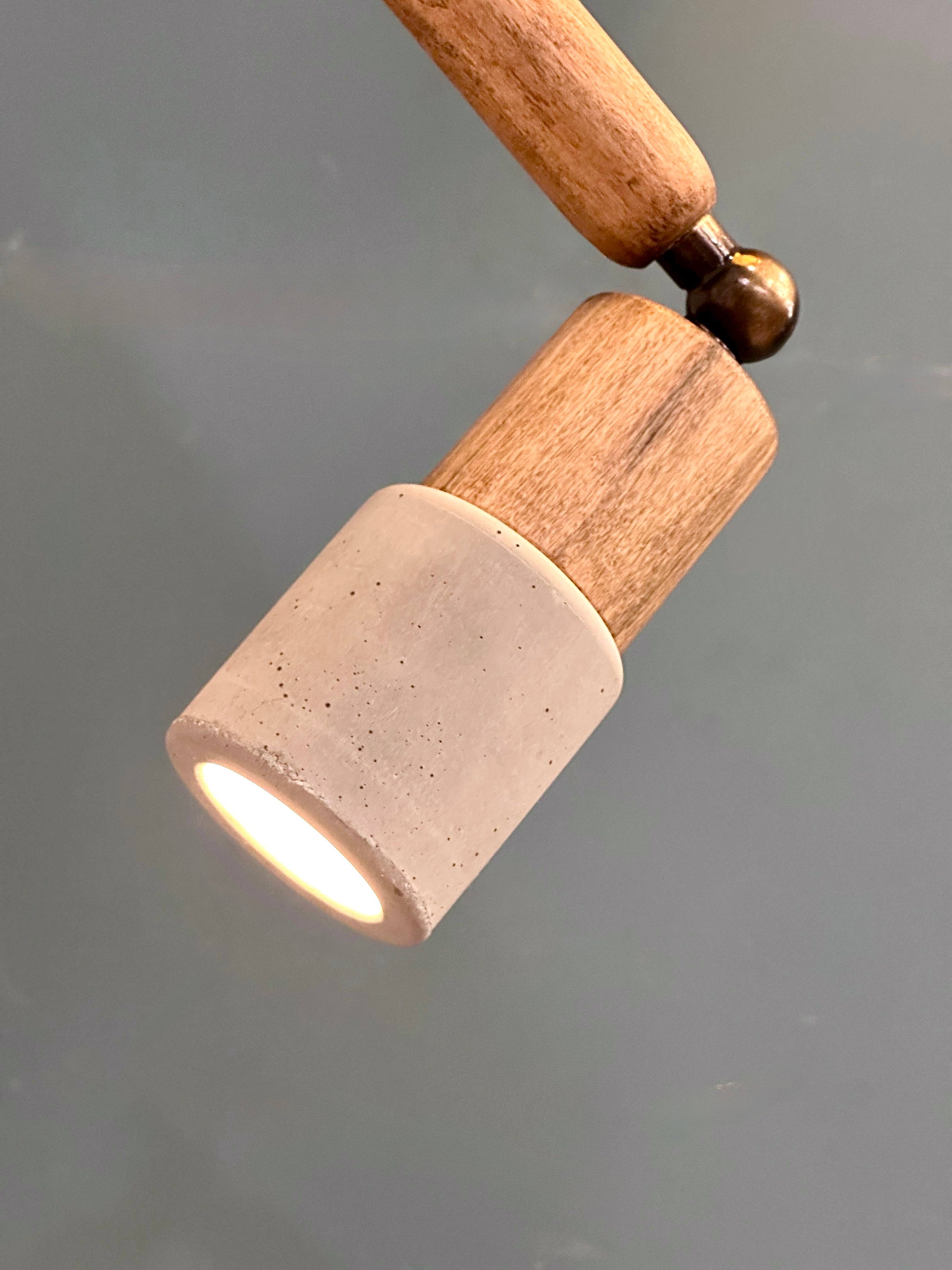 Arel Lighting NOGARO LUNGO ARTICULATING WALL SCONCE