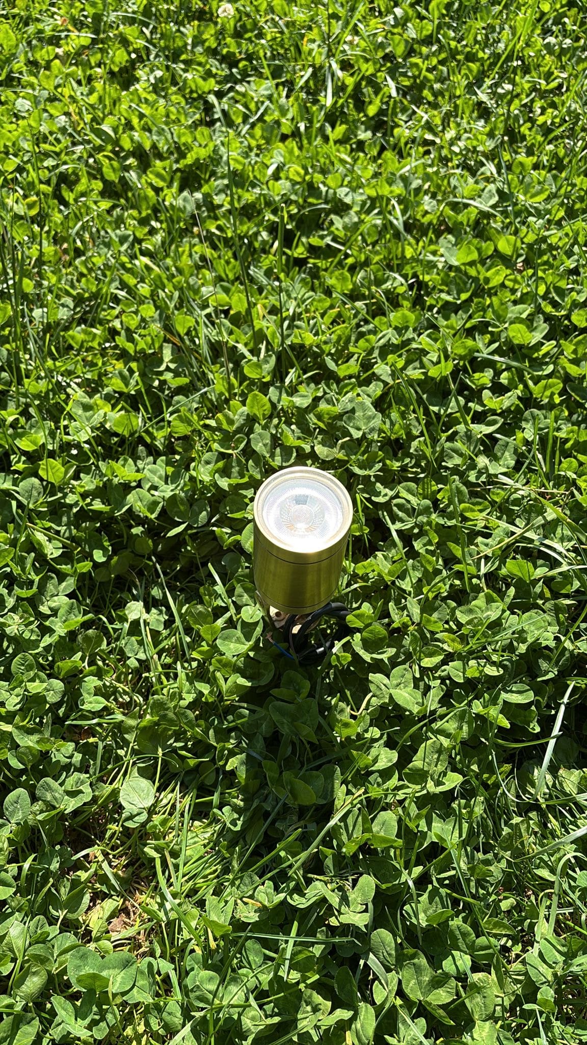 Arel Lighting VALLADE Adjustable Landscape Brass Spike Spotlight