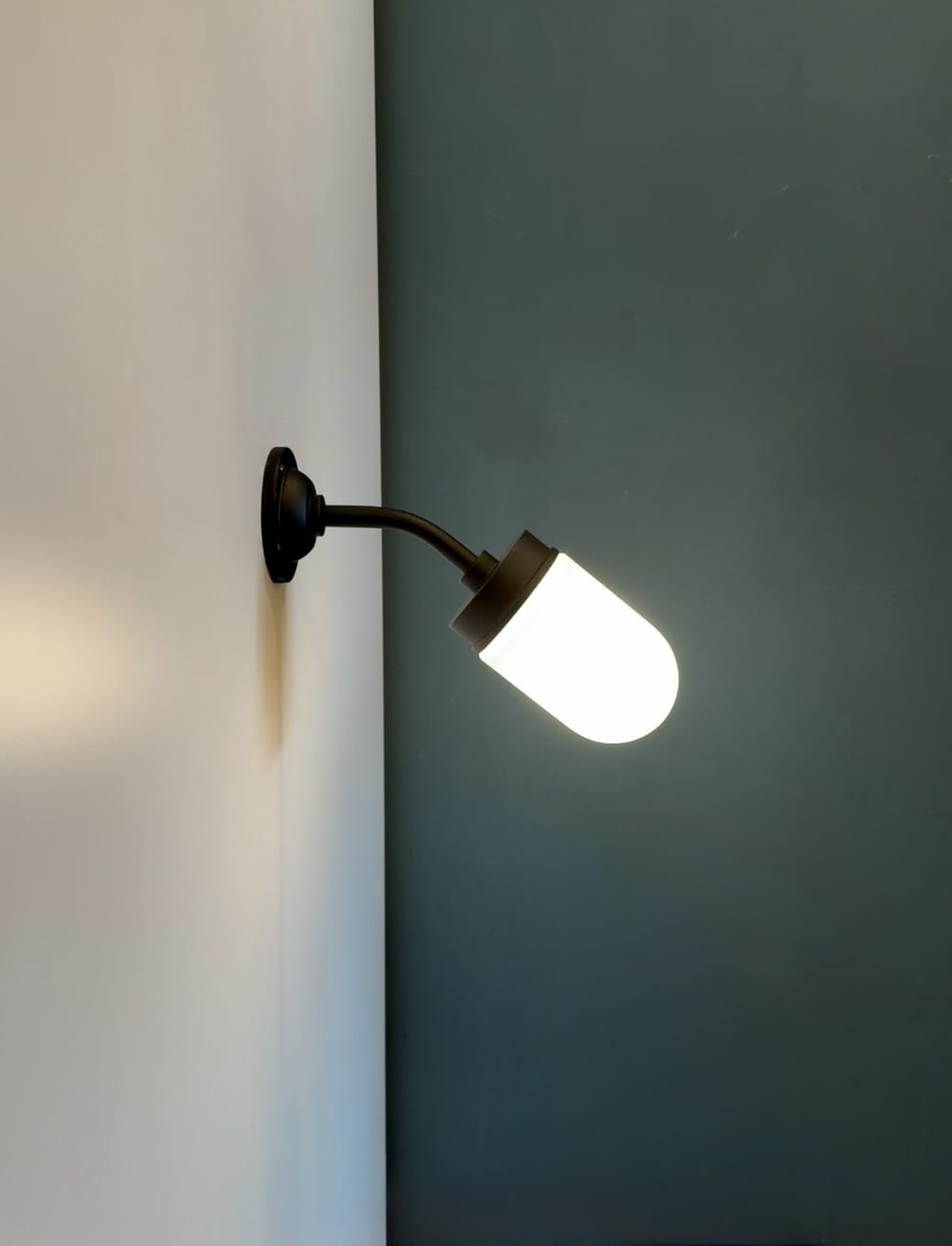Arel Lighting Without / Frosted BORG Nautical Glass Outdoor Wall Light