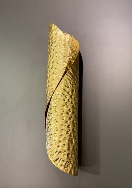 My Store Brushed Brass PONCE Hammered Brass Wall Sconce