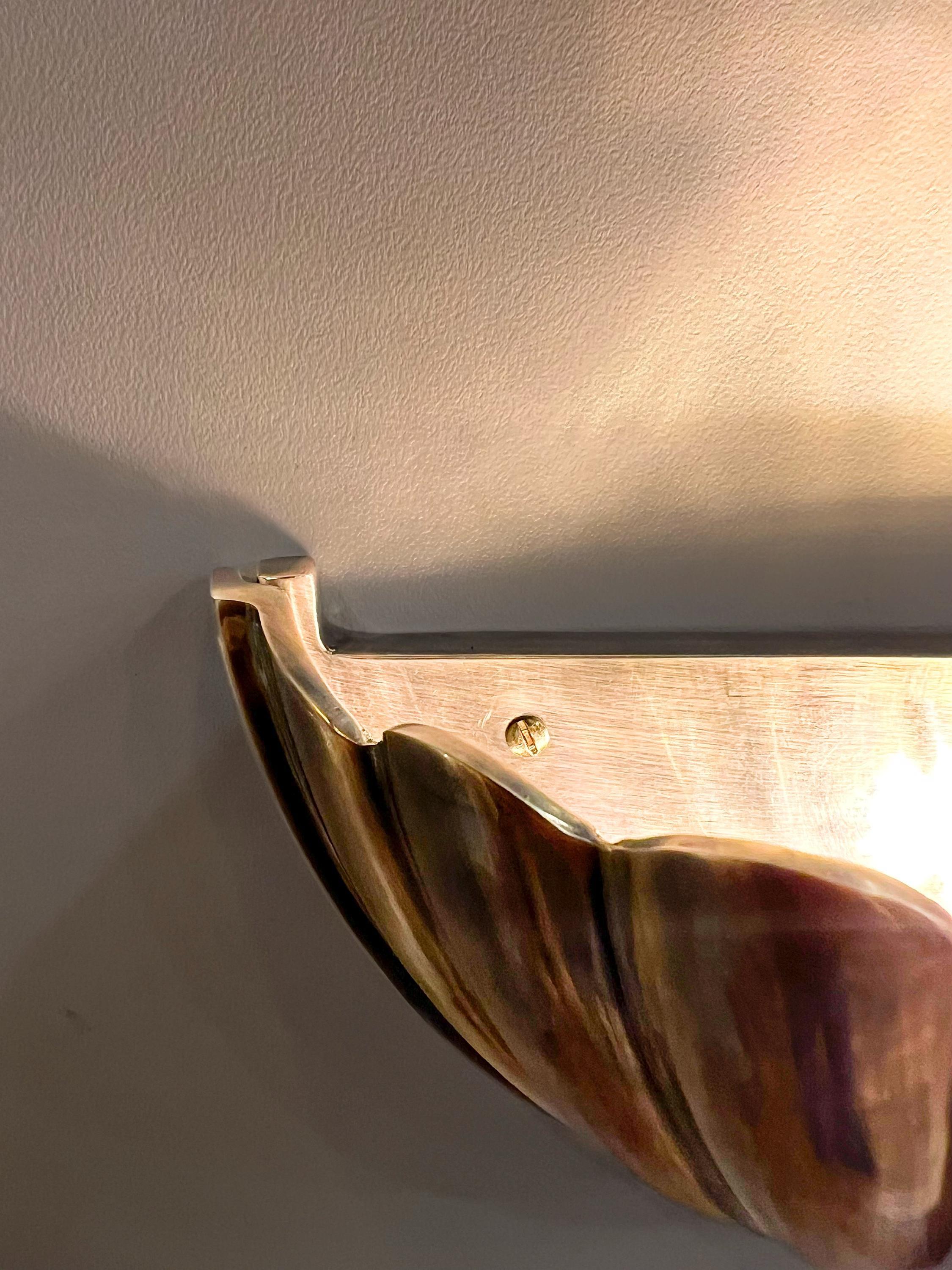 My Store CARDIUM Brass Wall Sconce