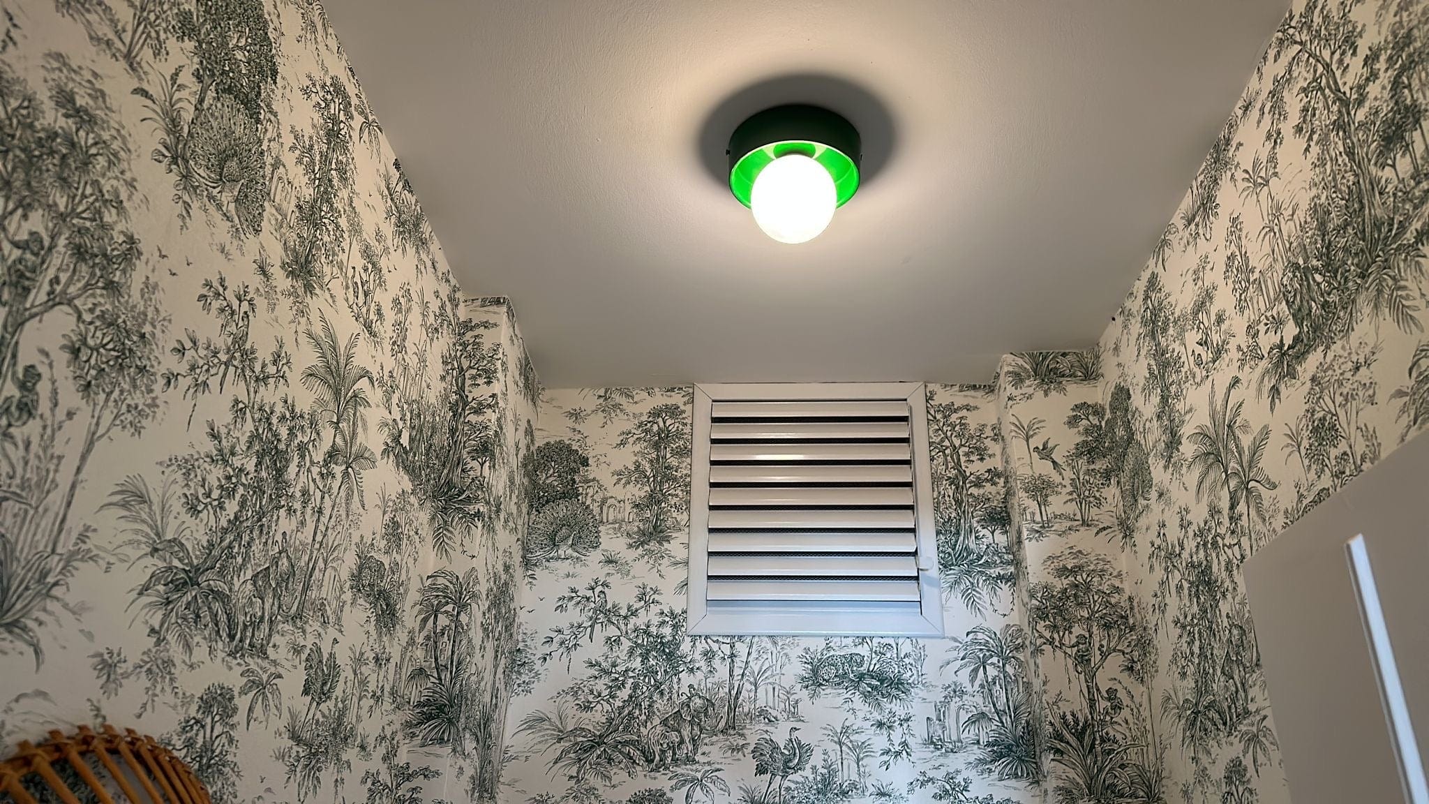 My Store Green DEBREC Ceiling Lighting Fixture