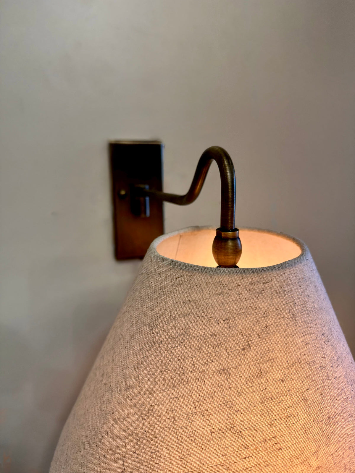 Arel Lighting lighting RUDA Articulating Wall Sconce