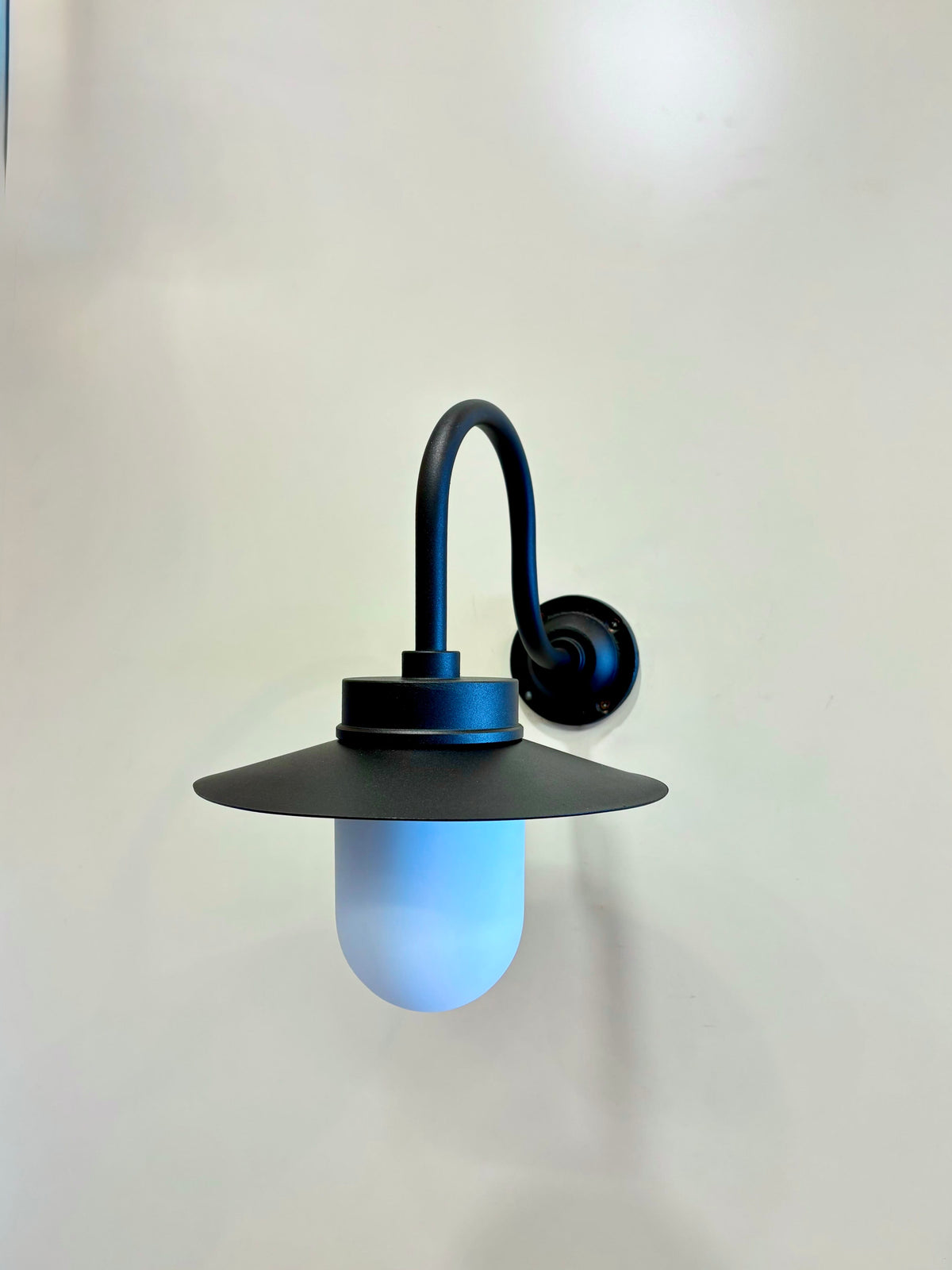 Arel Lighting LOTORP Nautical Glass Outdoor Wall Light