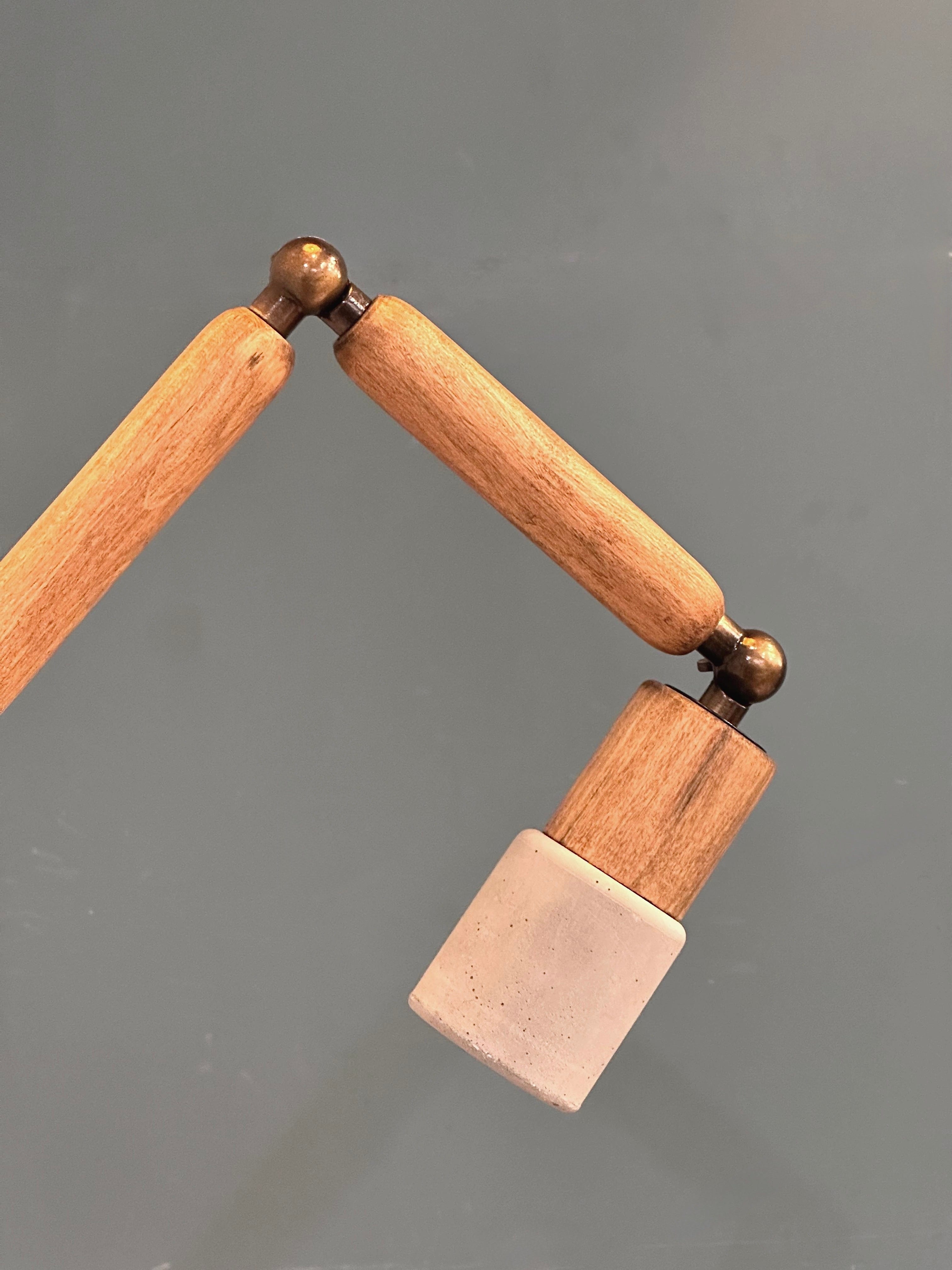 Arel Lighting NOGARO LUNGO ARTICULATING WALL SCONCE