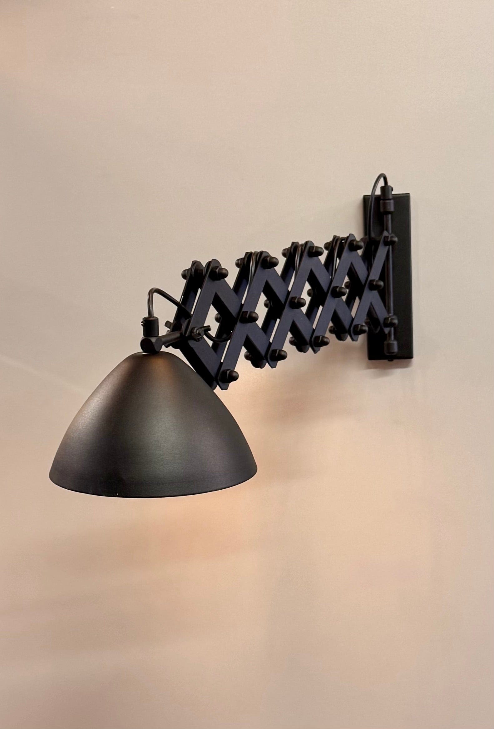My Store Black ARICA Articulating Wall Sconce