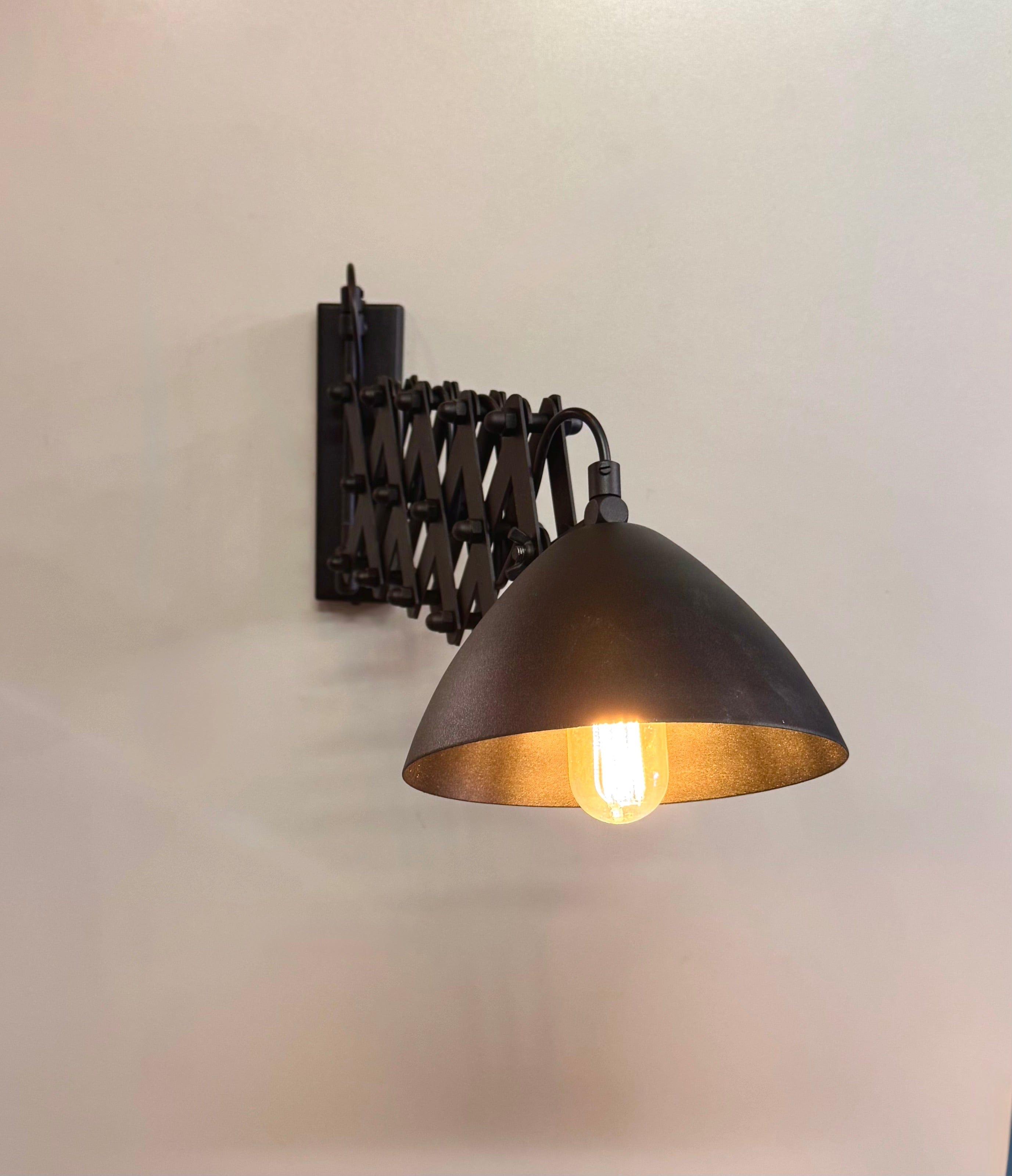 My Store Black ARICA Articulating Wall Sconce
