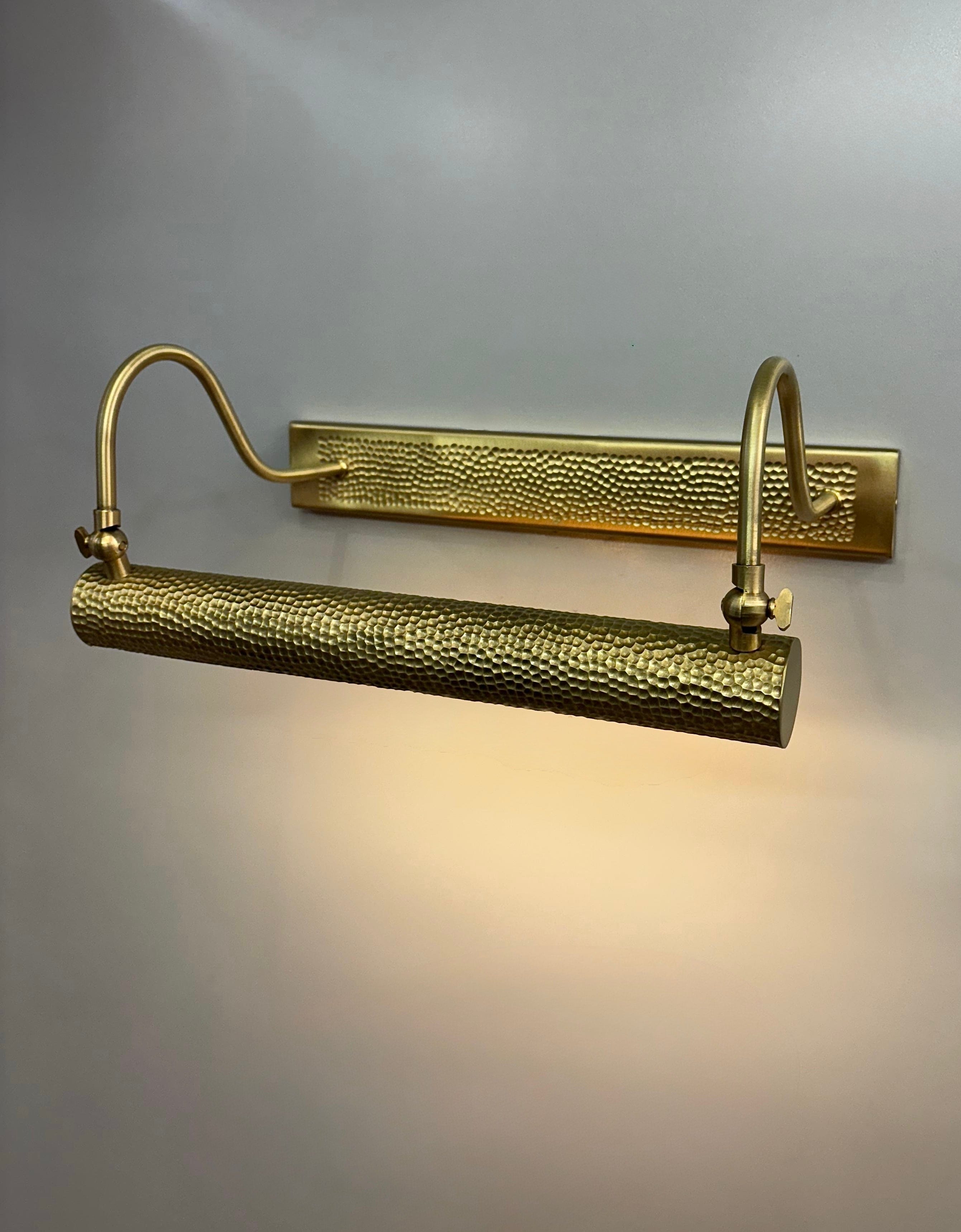 My Store NIDRI Handmade Brass Picture Light Wall Sconce