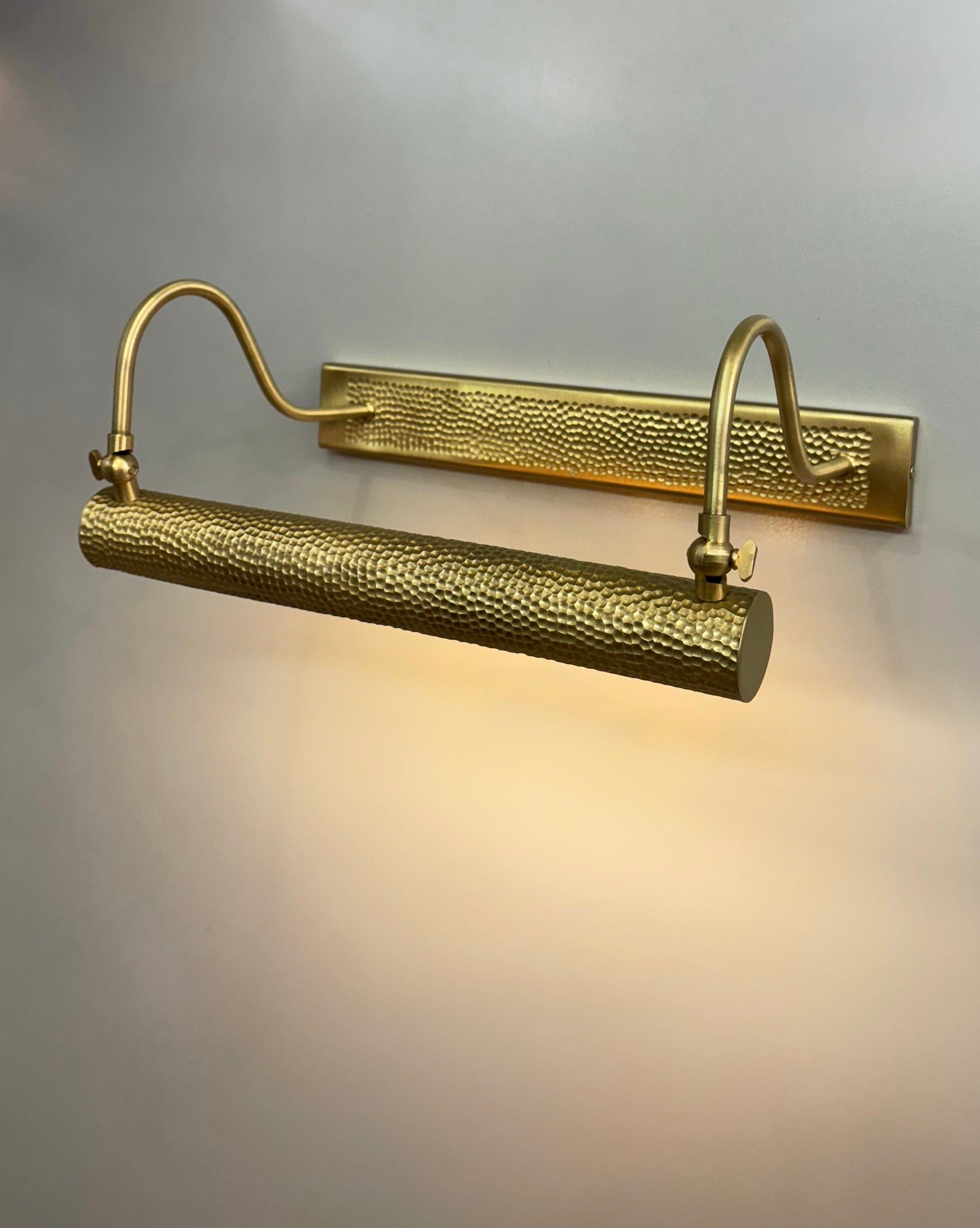 My Store NIDRI Handmade Brass Picture Light Wall Sconce